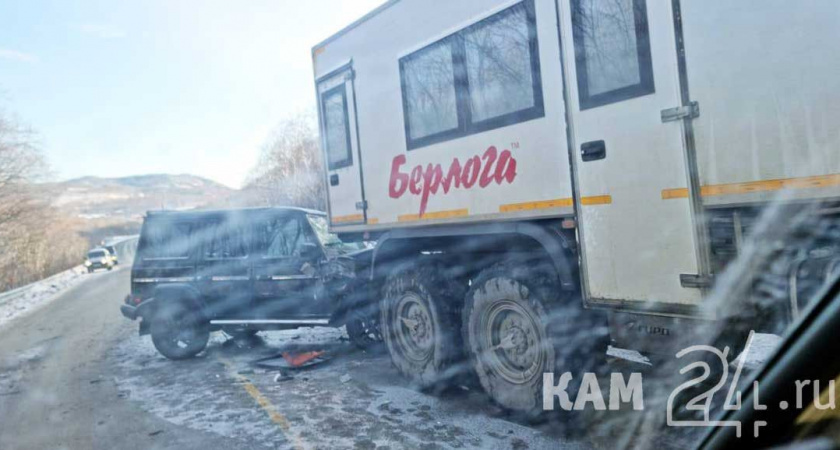 Жительница Вилючинска, по вине которой в ДТП пострадала её коллега, получила год условно