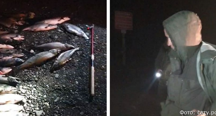 Рыбохрана Камчатки задержала рыбака, который наспиннинговал больше рыбы, чем мог