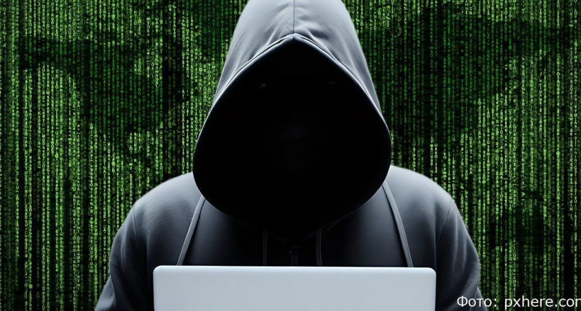 На Камчатке северянин потерял более 2 миллионов на инвестициях в мошеннические схемы