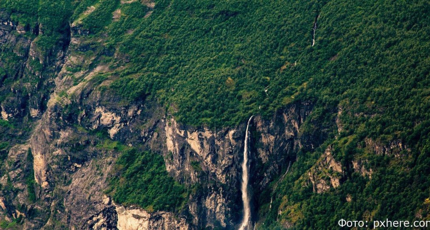 «Аэросапсан» не смог обеспечить охрану камчатских лесов: не хватило самолётов