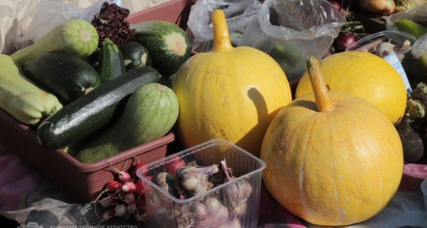 Рост заболеваемости иерсиниозом зафиксирован в Петропавловске и Елизове