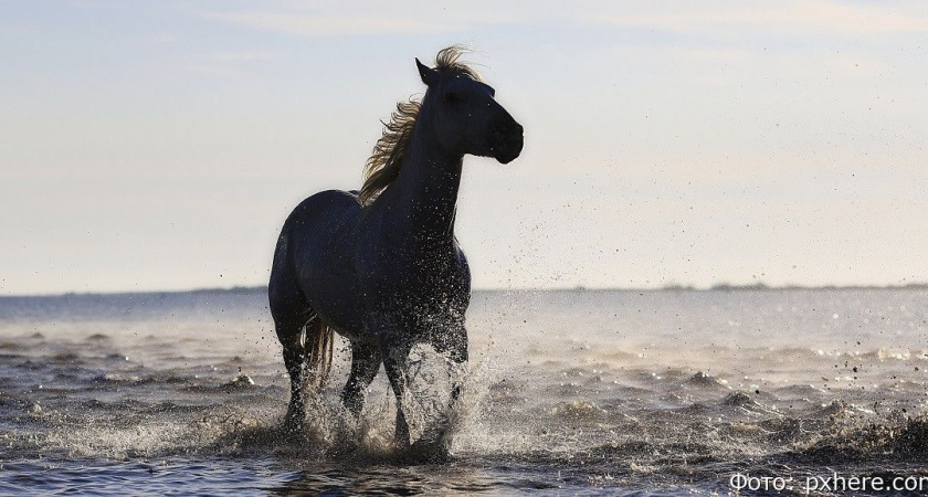 Гороскоп на 11 июля: Водолеи, держите эмоции в узде; Рыбы, слушайте себя, а не других