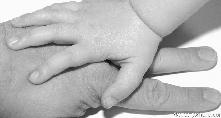 Больше полумиллиона алиментов заплатил мужчина, живущий между Камчаткой и Тюменской областью