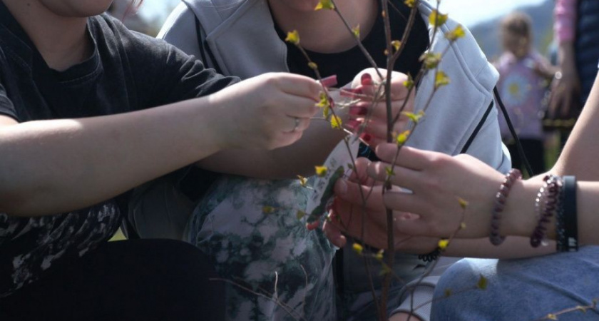 500 деревьев высадили в Камчатском крае в рамках акции «Сад памяти»