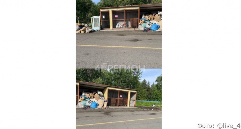 Роспотребнадзор потребовал навести порядок на мусорной площадке в Милькове
