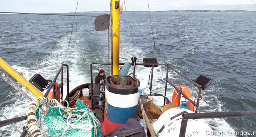 День рыбака в Камчатском крае отмечают около 18,6 тысячи работников отрасли