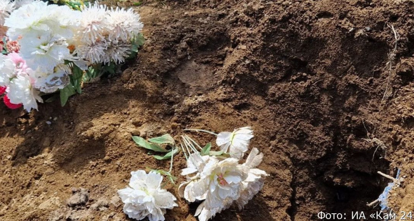 На Камчатке медведи продолжают разрывать могилы (видео)