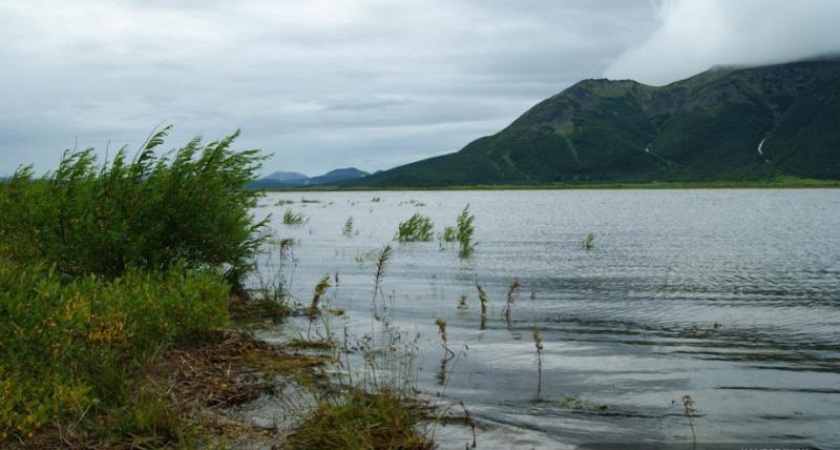 Новый подъём уровня воды ожидается в реках трех районов Камчатского края