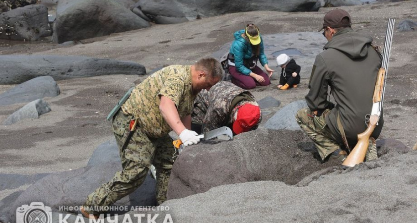 Заповедный берег юга Камчатки очистили от мусора