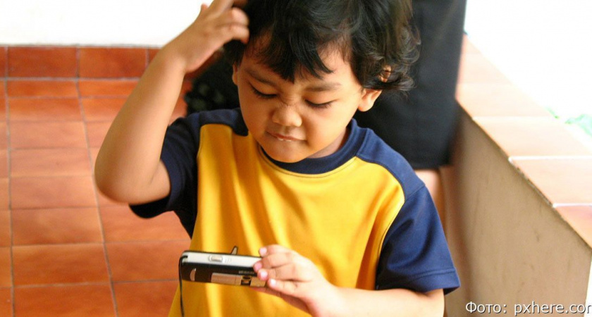 Тест: попробуйте отличить правдивое утверждение от мифа