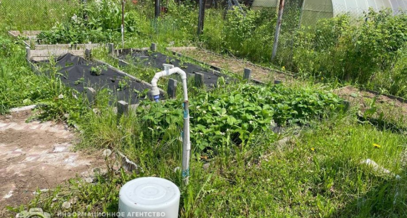 Камчатцу «Дальневосточный гектар» помог в развитии своего бизнеса