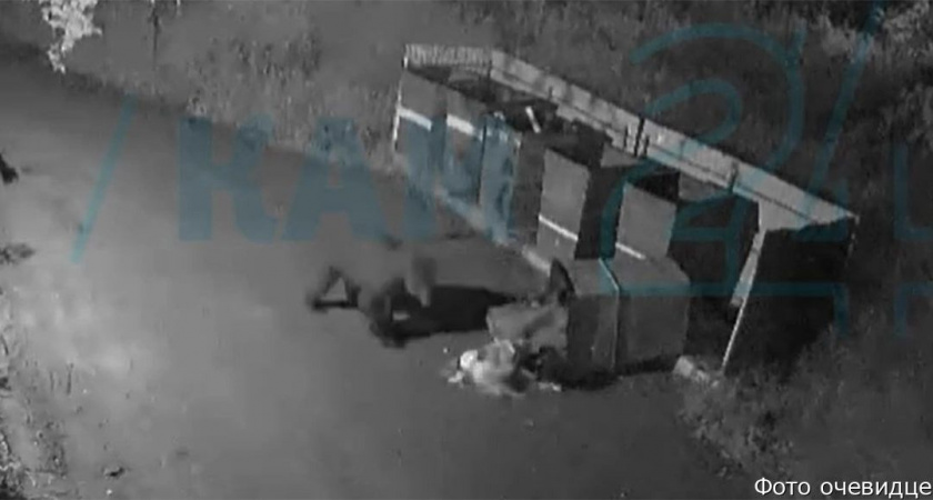 На Камчатке медведь перевернул мусорку у дачных участков (Видео)