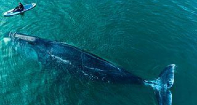 Шантарские острова: дом китов и самое загадочное место России