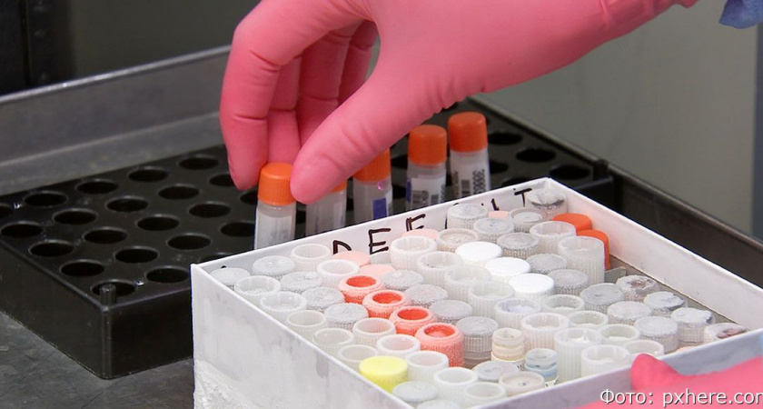 На Камчатке почти вдвое увеличилось число заболевших внебольничной пневмонией