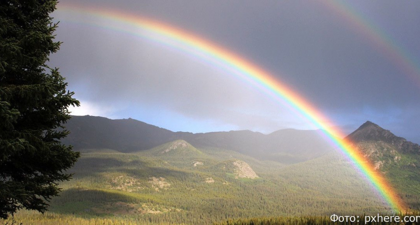 Гороскоп на 20 июля: Козерогов удача ждёт в поездке, Рыбам пора помириться