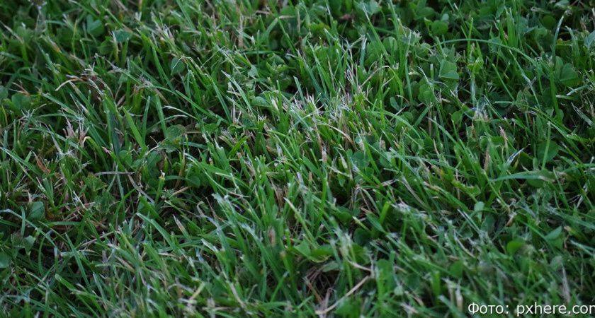 В Вилючинске зарплату работников ЖКХ пустят на покос