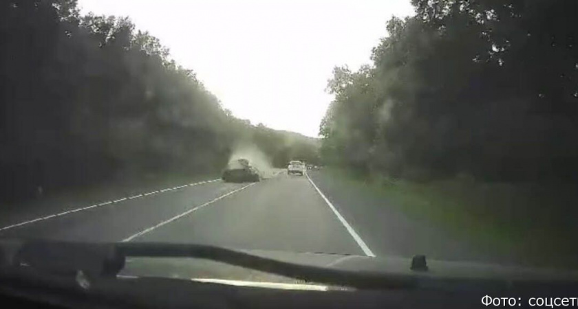 Очевидцы: медведь выскочил под колеса автомобиля в районе Раздольного