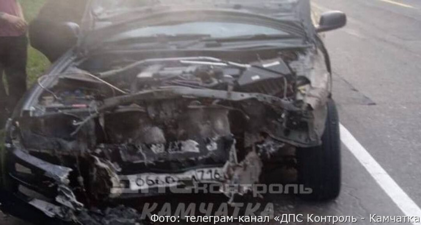 Появились фото автомобиля после ДТП с медведем в Елизовском районе