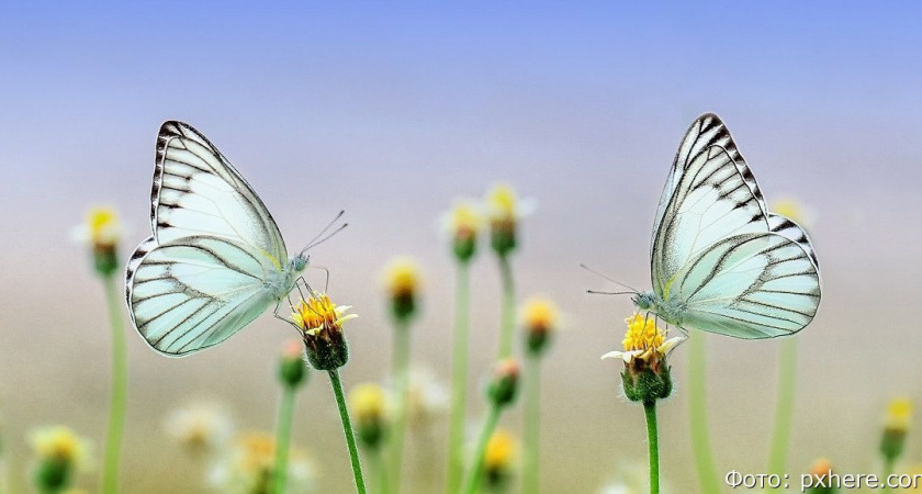 Гороскоп на 22 июля: Козерогов ждут судьбоносные встречи; Стрельцы, творите добро