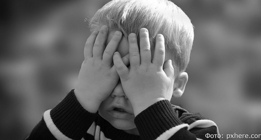 В Петропавловске-Камчатском мать сдала ребёнка няне и не забрала обратно