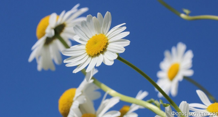 Гороскоп на 23 июля: Скорпионы, лучше быть счастливым, чем правым