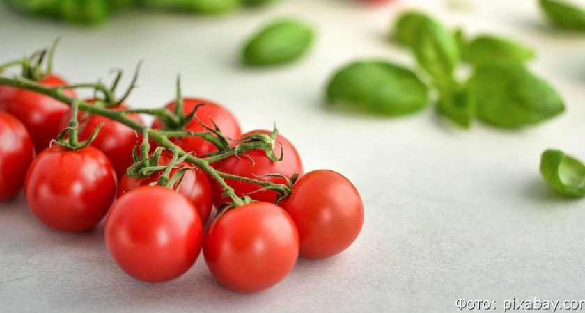 Тест: угадайте, что перед вами – фрукт, овощ или ягода