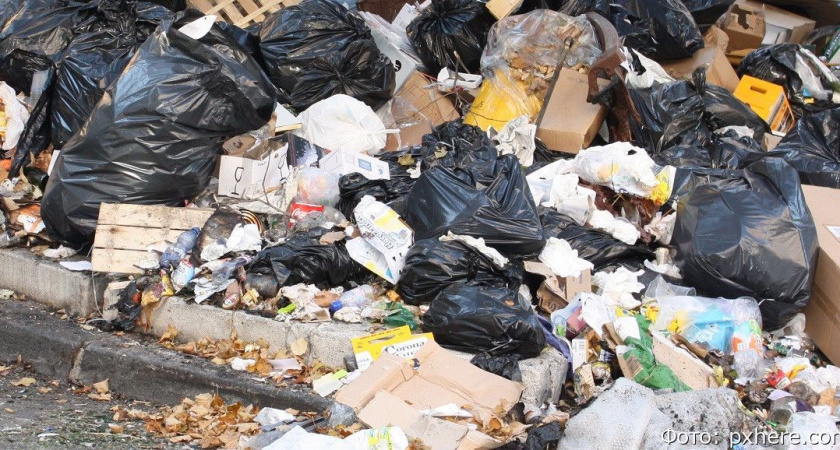 Камчатский Роспотребнадзор требует убрать свалку, которой по документам не существует