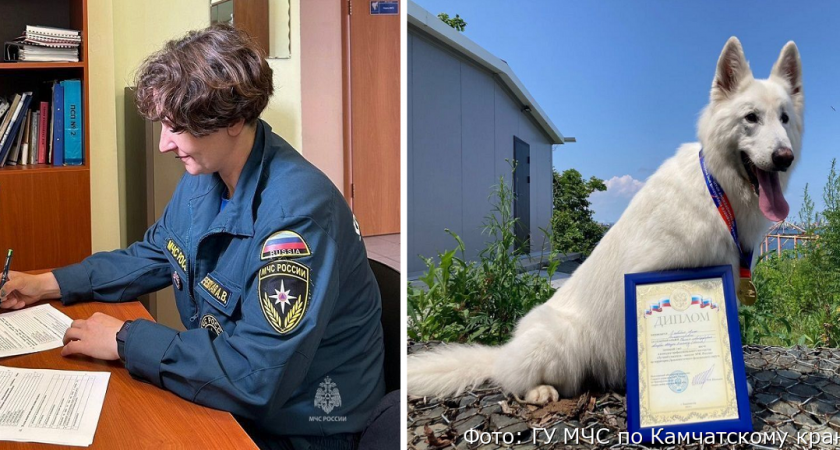 Камчатский кинолог Анна Ечевская представит Дальний Восток на всероссийских соревнованиях