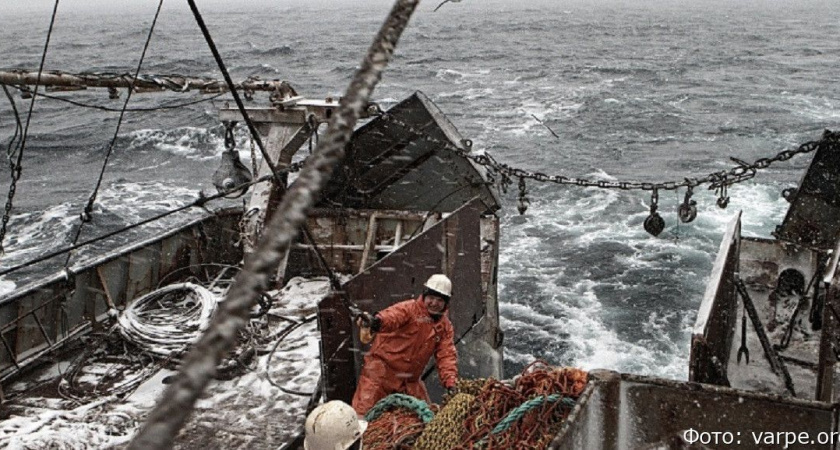 Повышение взноса на добычу рыбы создаст катастрофу для экономики Камчатки