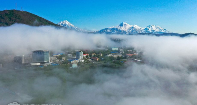 Жителям Камчатки окажут бесплатную юридическую помощь