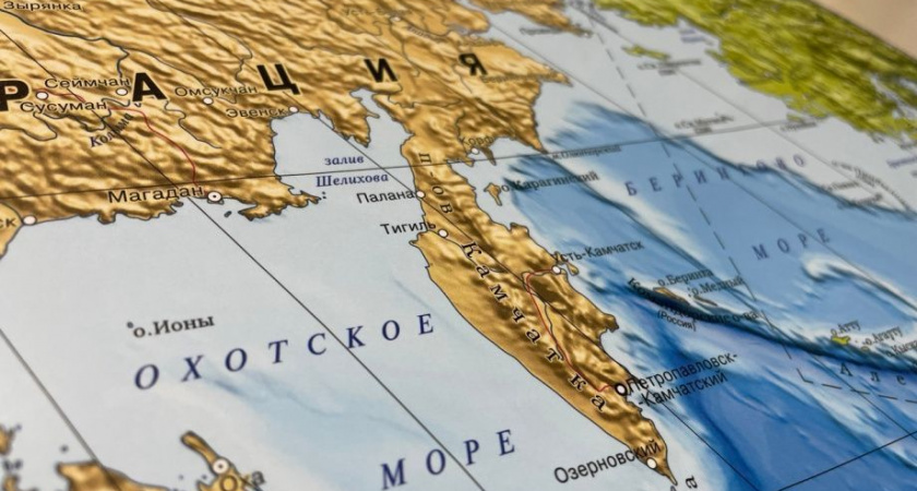 Специалисты Камчатки рассказывают о токсическом и лекарственном гепатитах