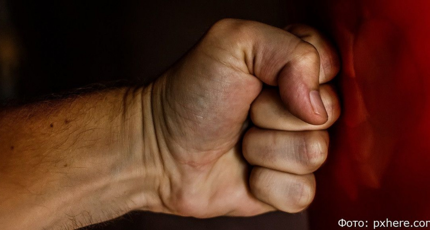 Избивавшего мать мильковчанина отправили в колонию