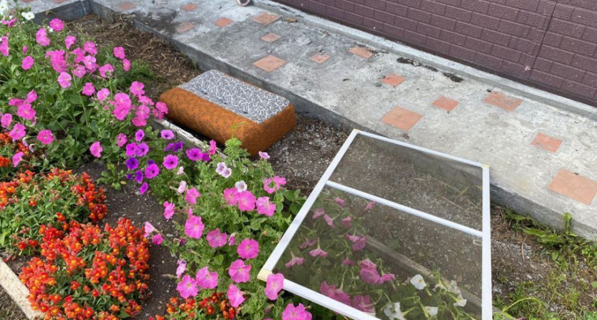 Следком Камчатского края проверит обстоятельства падения из окна десятилетнего ребёнка 