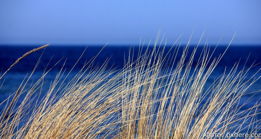 Гороскоп на 29 июля: Водолеи, откажитесь от поездок; Девы, осторожнее с деньгами