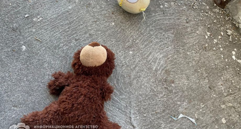 Полуторогодовалая девочка на Камчатке выжила после падения из окна