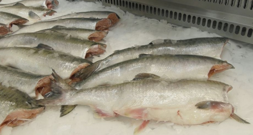 На экспорт с Камчатки за неделю оформлено 52 партии рыбопродукции и кормовой муки