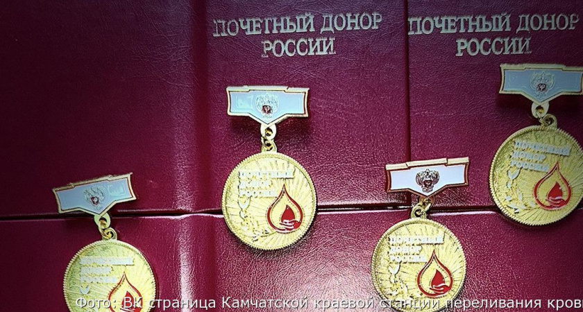 На Камчатке увеличилось число почетных доноров крови