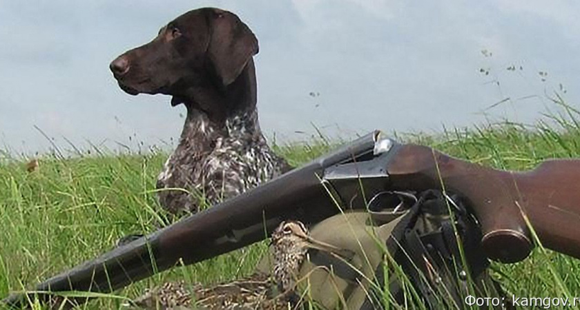 Минлесохоты Камчатки рассказало о сроках охоты на пернатую дичь в этом году