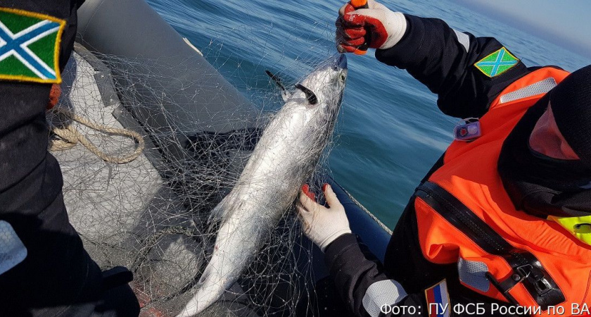 Погрануправление ФСБ на Камчатке задержало браконьеров, порыбачивших «с размахом»