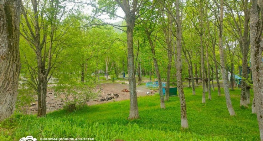 Парк на улице Пограничной в Петропавловске передадут Дворцу молодёжи