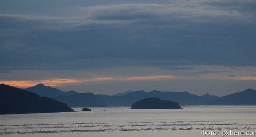 Объёмы вылова на Камчатке по-прежнему не дотягивают до показателей прошлых лет