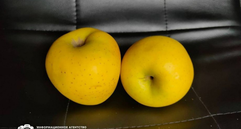 Годовая инфляция на Камчатке в июне ускорилась — до 8,6 процента