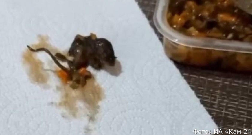 Дальневосточница отведала еду из супермаркета, в которой оказалась дохлая мышь