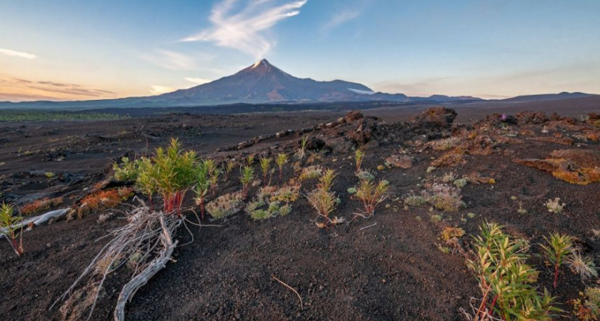 Маршрут «Вокруг Толбачиков» на Камчатке вновь открыт для посещения
