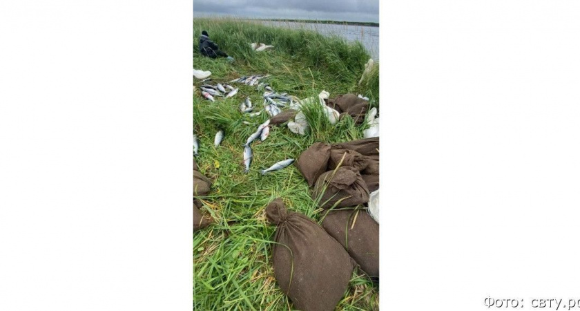 На Камчатке задержали браконьера, нарыбачившего почти на миллион рублей