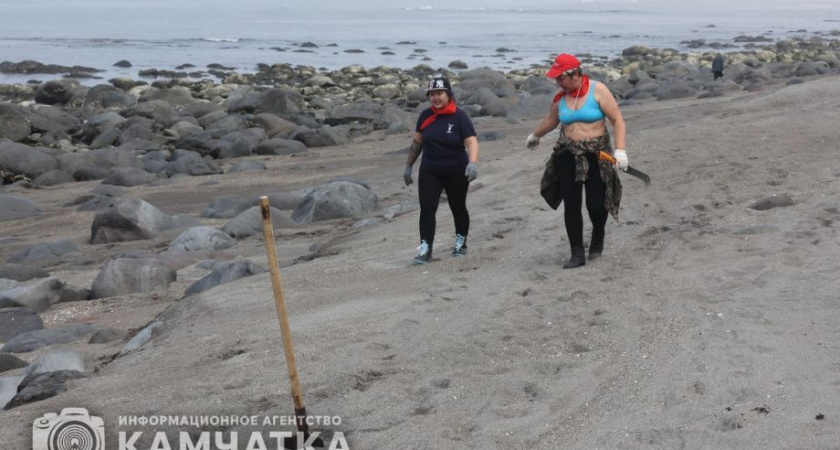 Камчатский микромир Снежаны Алламурадовой