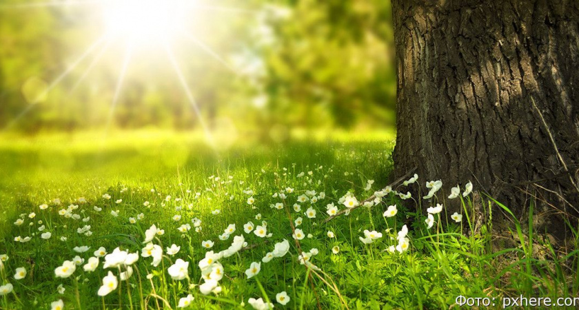 В предстоящие выходные на Камчатке будет преимущественно солнечно и тепло