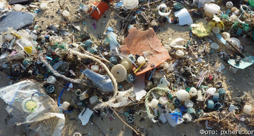 В столице Камчатки управляйку попросили тщательнее убирать контейнерную площадку