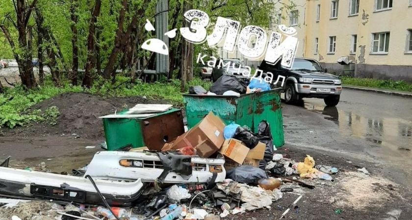 Роспотребнадзор проверил информацию о свалке возле горбольницы № 2 в Петропавловске-Камчатском