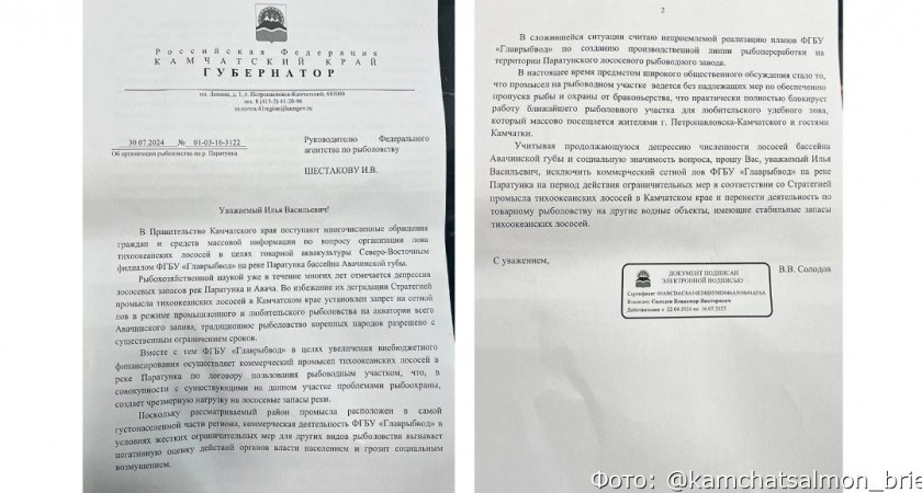 Губернатор Камчатки предложил запретить «Главрыбводу» добычу лосося на Паратунке